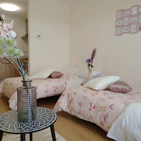 El Tejo Apartment *