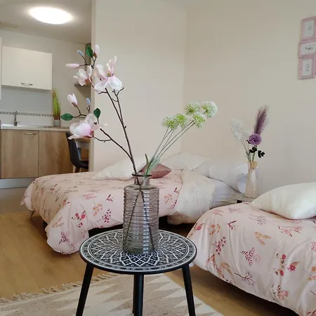 El Tejo Apartment Lerma