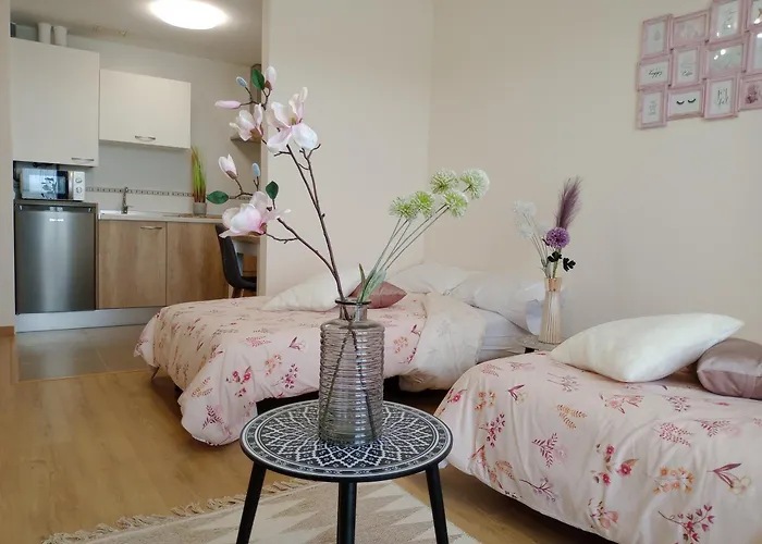 El Tejo Apartment Lerma